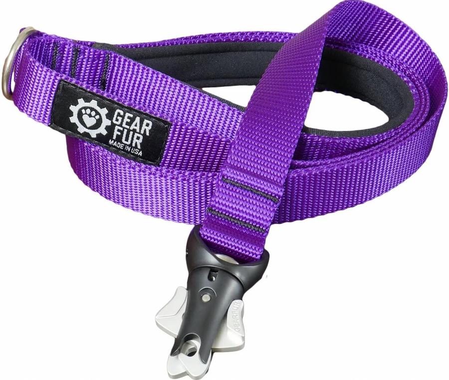 5' Purple Single Flat Webbing Leash